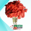 Fresh Red Roses bouquet